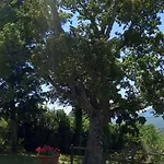 Hotel Poggio Al Sole 4*