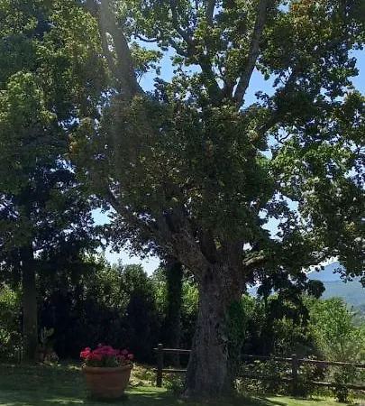 Hotel Poggio Al Sole 4*