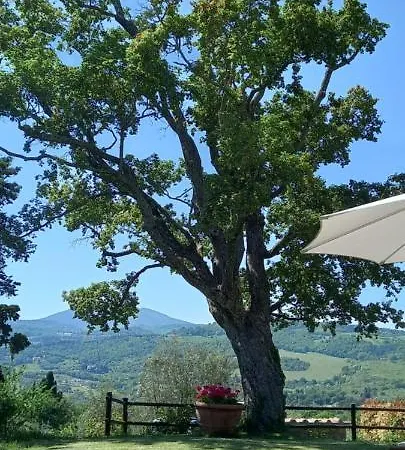 Poggio Al Sole